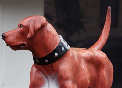 Town Trek 5: Morley's Dog